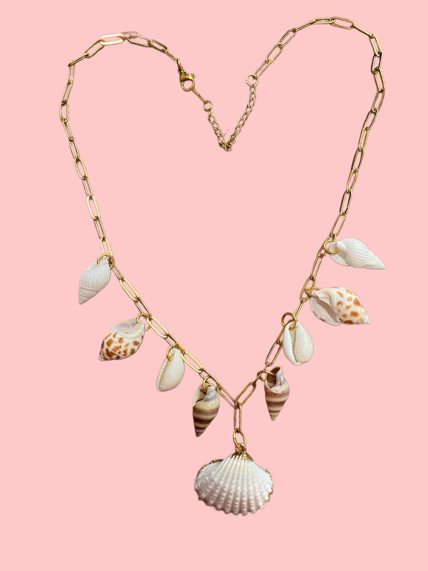 Multi Shell Necklace