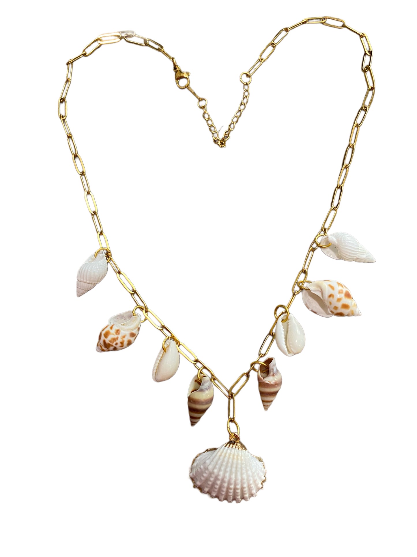 Multi Shell Necklace