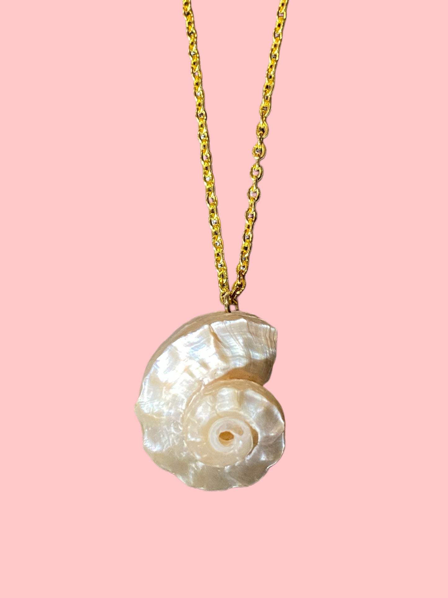 Delphinula Conch Necklace