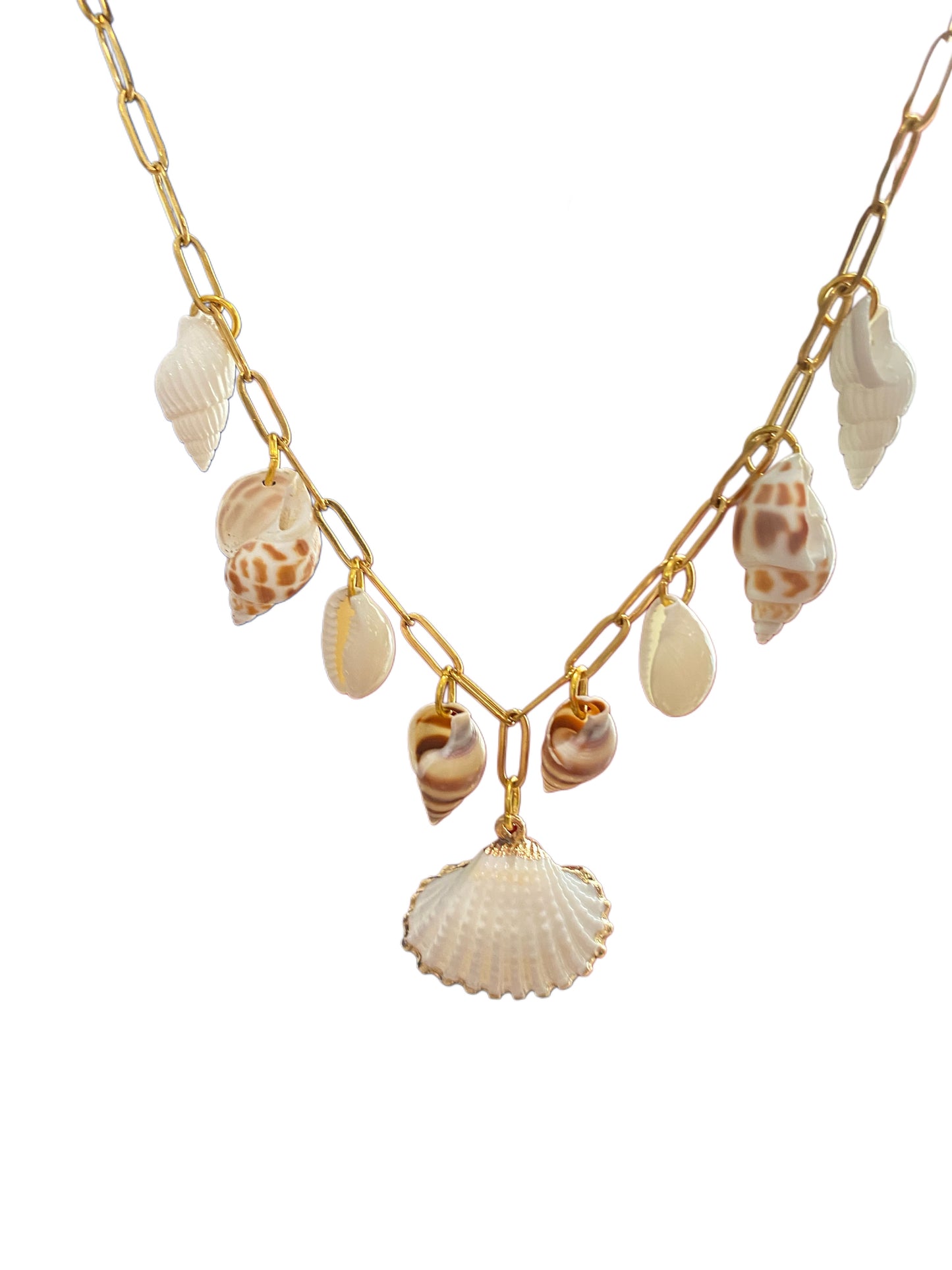 Multi Shell Necklace